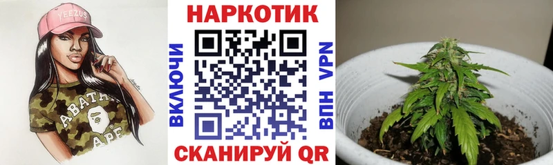 Купить наркоту Елизово Бошки Шишки  АМФЕТАМИН  МЕТАДОН  Cocaine  Мефедрон 