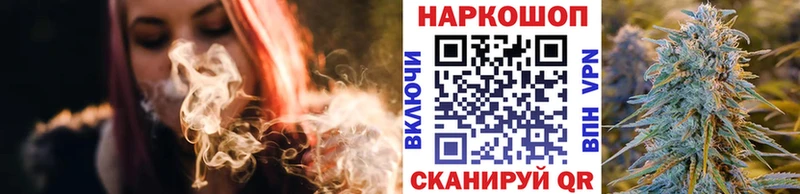 A-PVP Елизово
