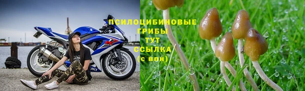 каннабис Вяземский